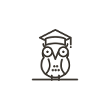 An owl